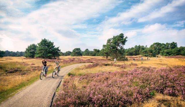 Sfeervol Chalet Op De Veluwe 푸텐 외부 사진
