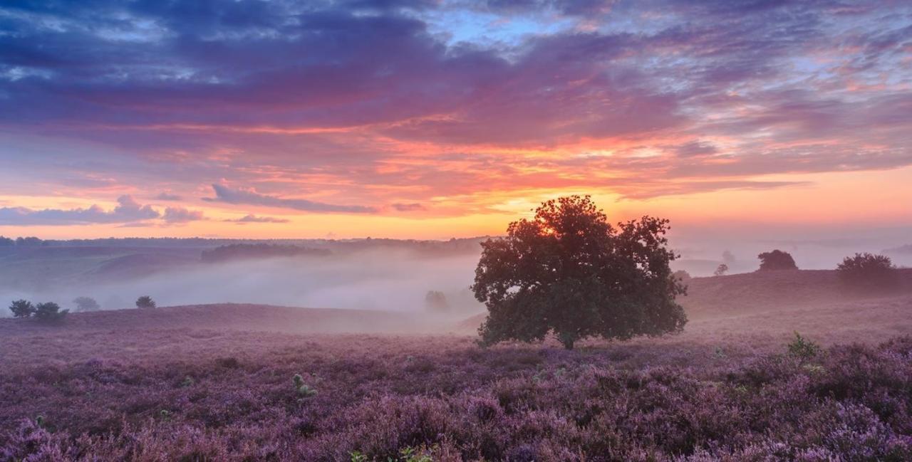 Sfeervol Chalet Op De Veluwe 푸텐 외부 사진
